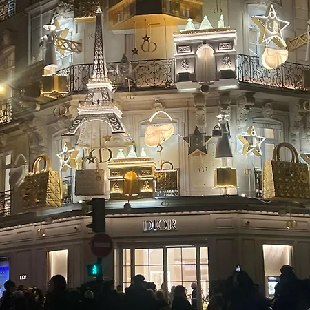 Luxury Loft Champs Elysee 巴黎