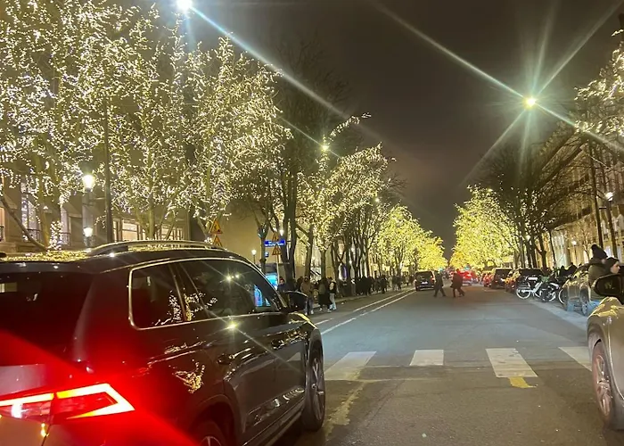 Luxury Loft Champs Elysee アパート